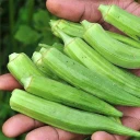 بامیه