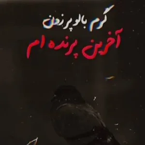 کاور آهنگ آخرین پرنده ام گرم بال و پر زدن