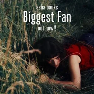 کاور آهنگ biggest fan