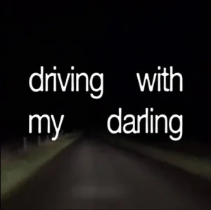 کاور آهنگ Driving with My Darling