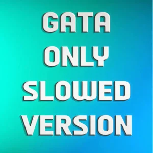کاور آهنگ Gata Only ورژن slowed