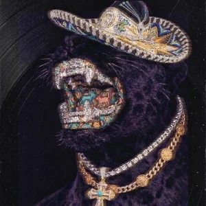 کاور آهنگ La Cheyenne