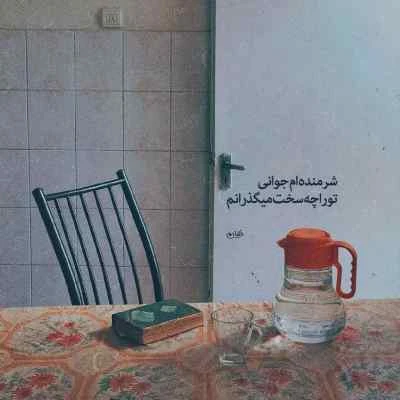 کاور آهنگ الان یه سال و یه ماه و یه روزه دلتنگتم