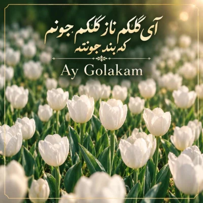 کاور آهنگ ای گلکم ناز گلکم جونم که بند جونته