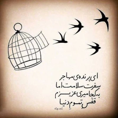 کاور آهنگ ای پرنده مهاجر سفرت سلامت اما