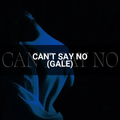 کاور آهنگ CAN'T SAY NO (GALE)