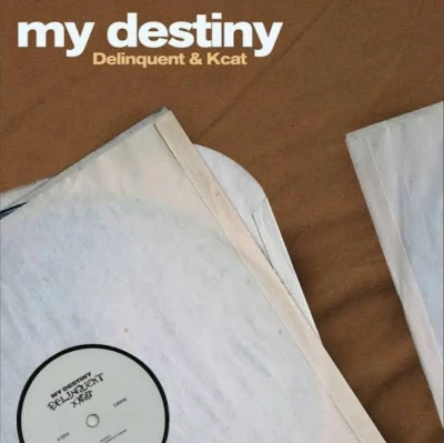 کاور آهنگ my destiny