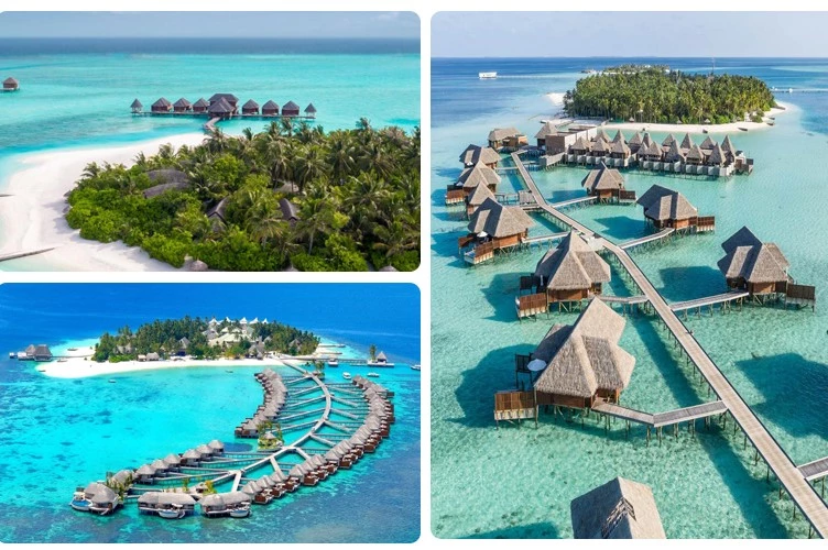 عکس مالدیو
