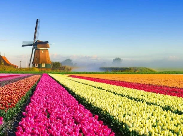 عکس هلند