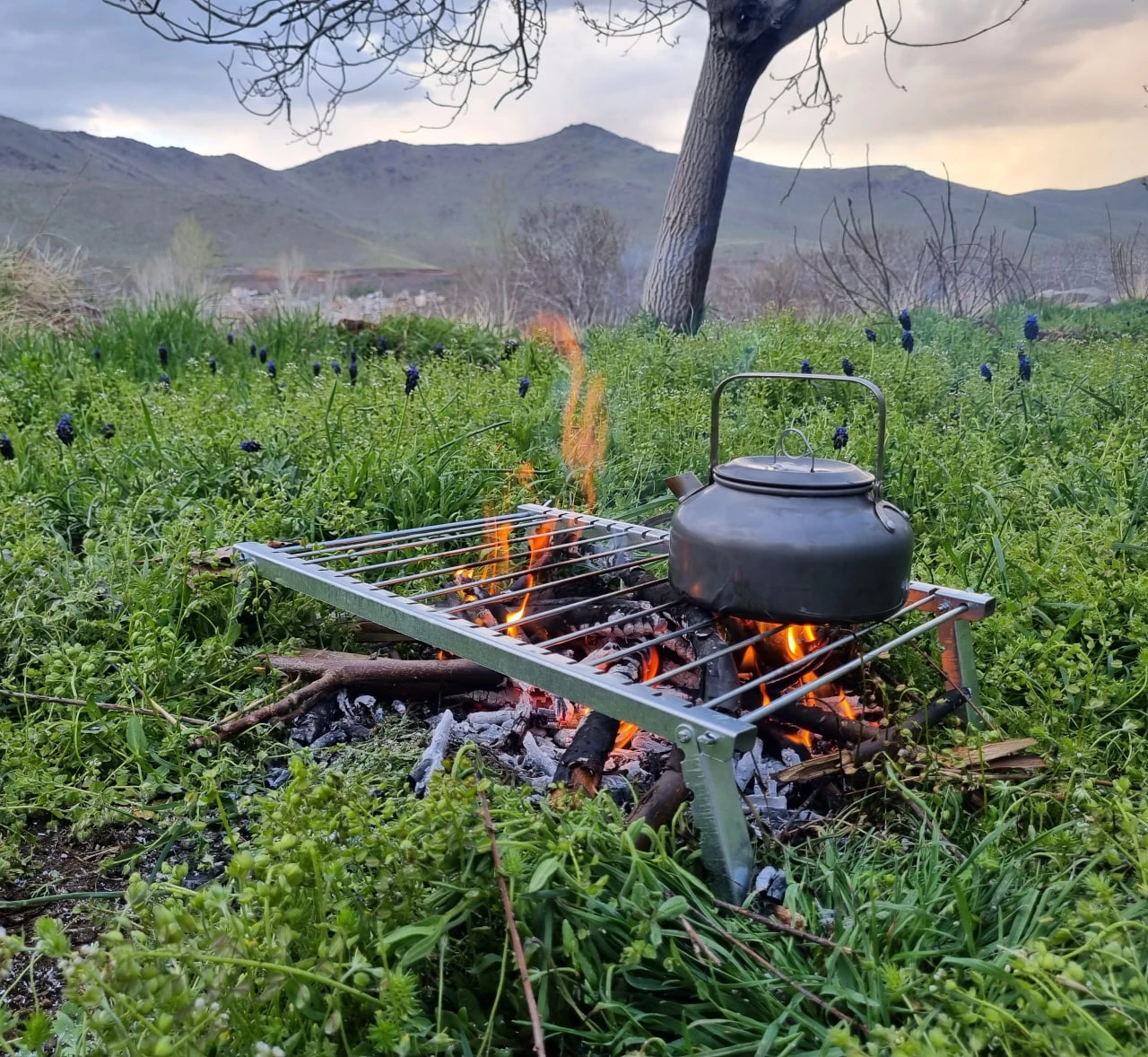 منقل مسافرتی میله ای