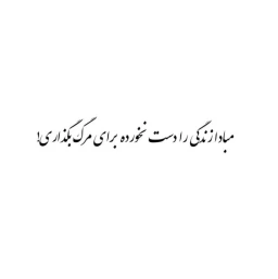 عکس مهیار