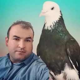 عکس مجتبی رعنایی